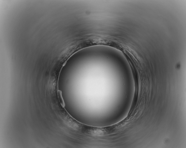 X0000091070513200708131155