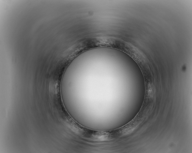 X0000091070514200708131155