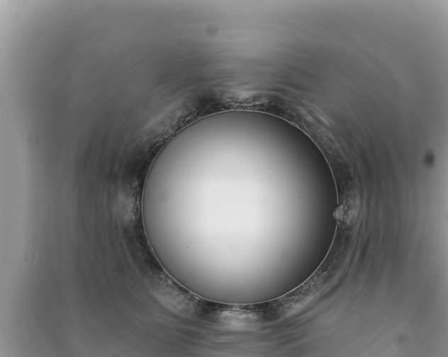 X0000091070515200708131155