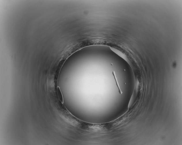 X0000091070516200708131155