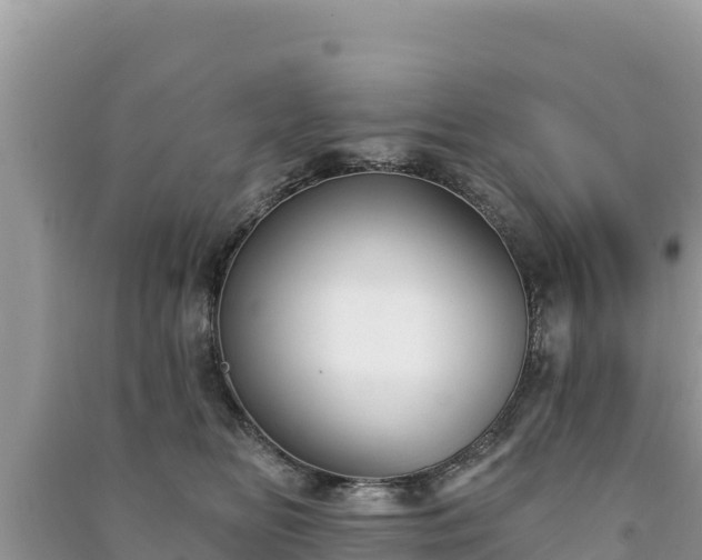 X0000091070518200708131155