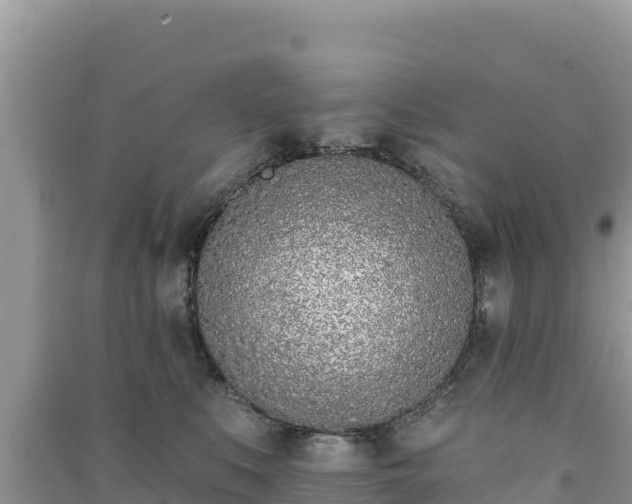 X0000091070519200708131155