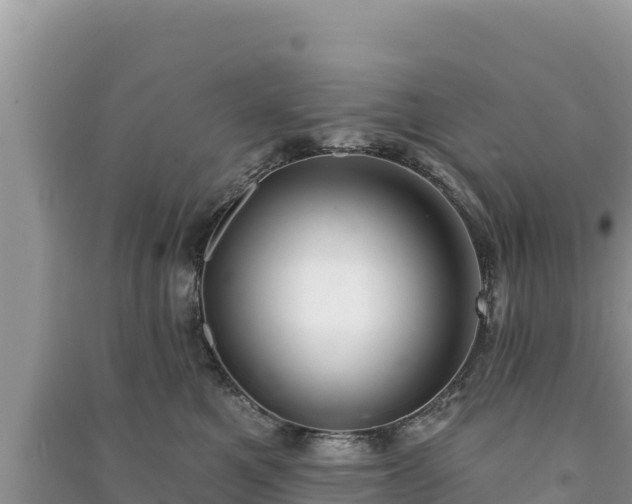 X0000091070521200708131155