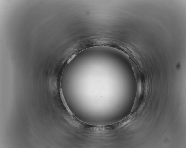 X0000091070524200708131155