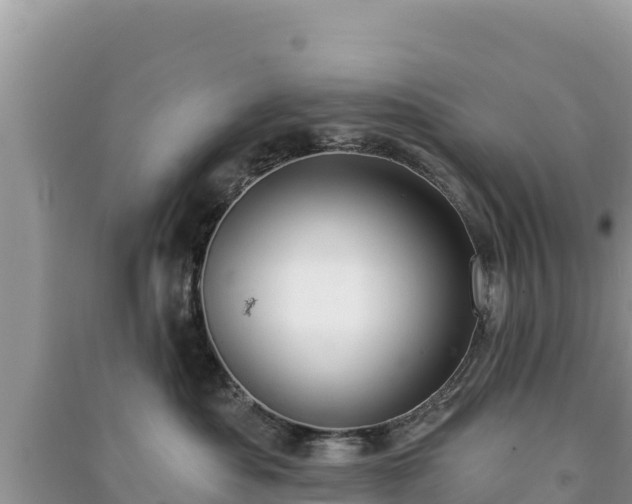 X0000091070525200708131155