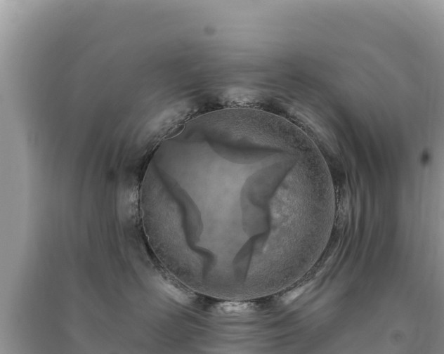 X0000091070526200708131155