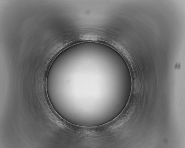 X0000091070529200708131155