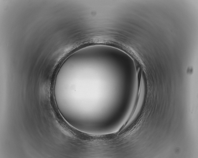X0000091070530200708131155