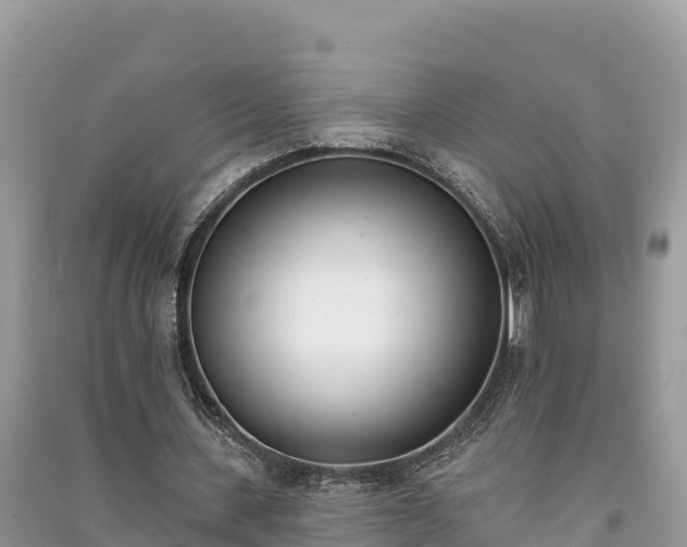 X0000091070531200708131155