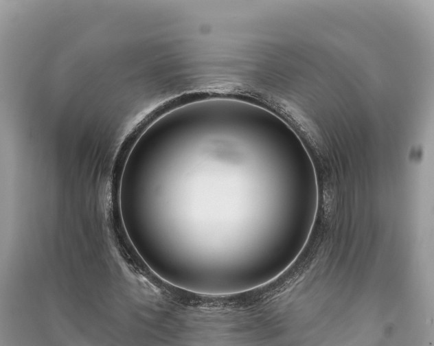 X0000091070532200708131155