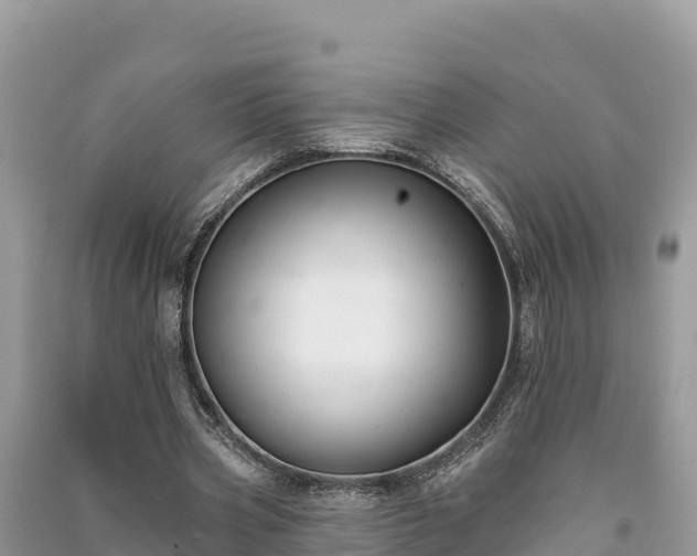 X0000091070533200708131155