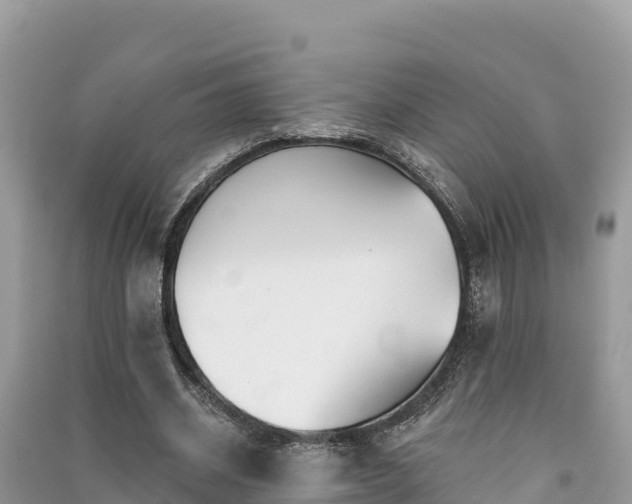 X0000091070534200708131155