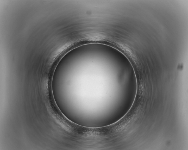 X0000091070535200708131155