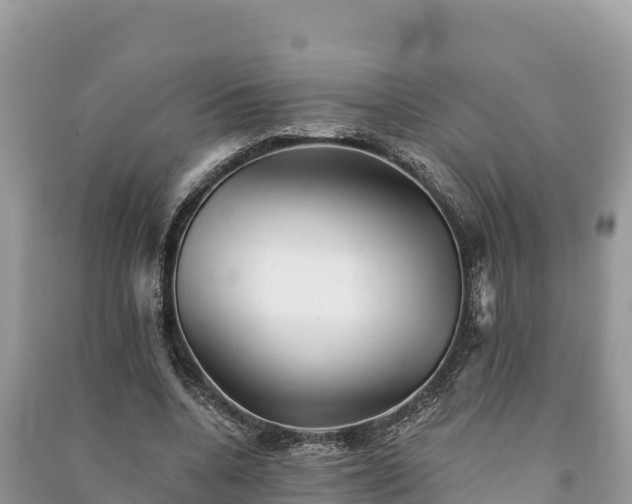X0000091070536200708131155