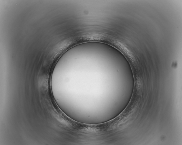 X0000091070537200708131155