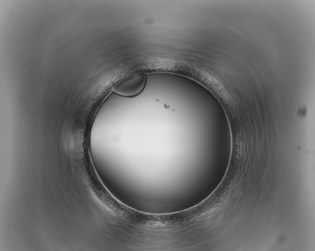 X0000091070538200708131155