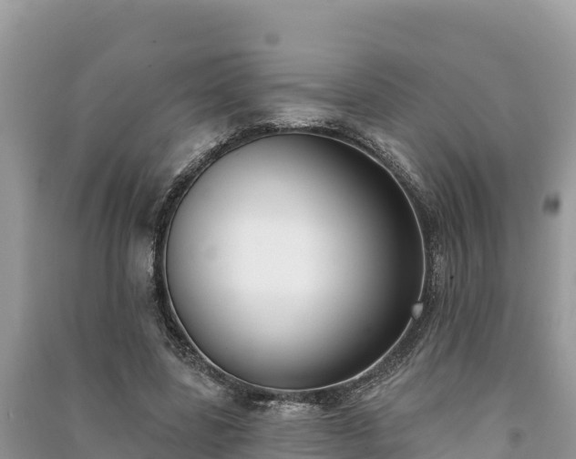 X0000091070539200708131155