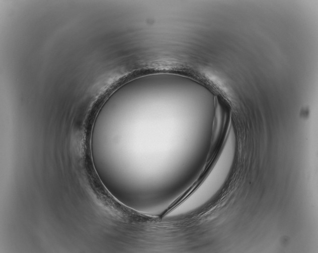 X0000091070540200708131155