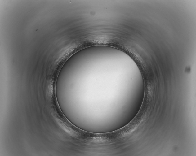 X0000091070541200708131155