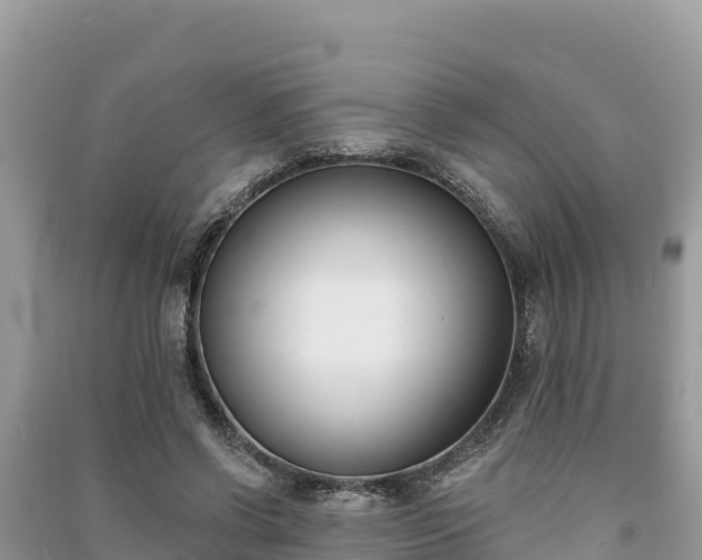 X0000091070542200708131155