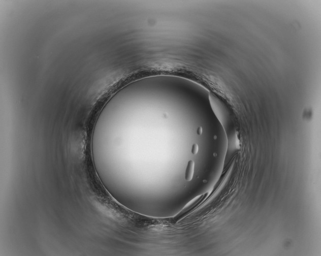 X0000091070544200708131155