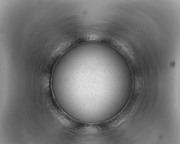 X0000091070545200708131155
