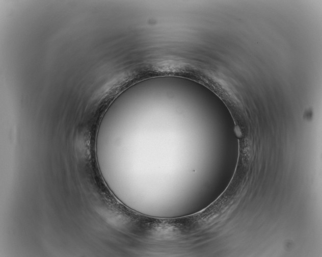X0000091070547200708131155