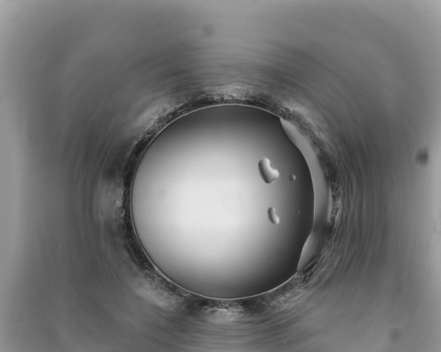 X0000091070548200708131155