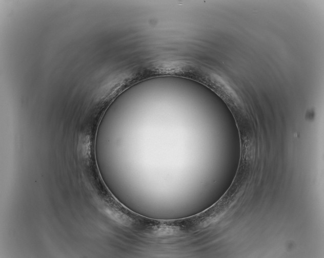 X0000091070549200708131155