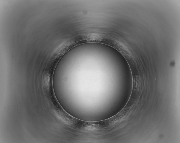 X0000091070550200708131155