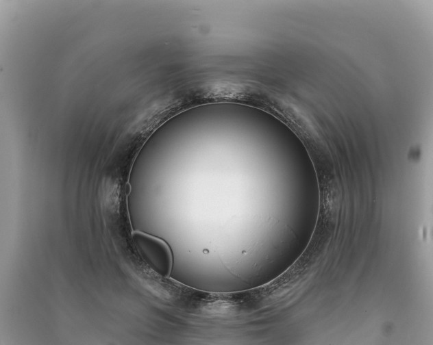 X0000091070551200708131155