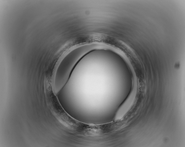 X0000091070552200708131155