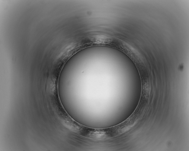 X0000091070554200708131155