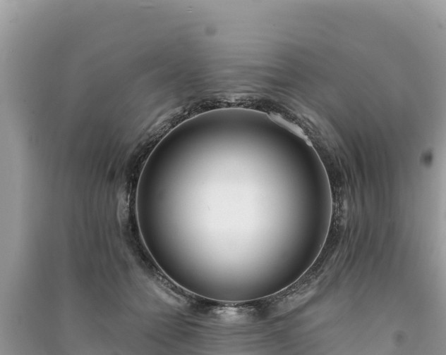 X0000091070558200708131155