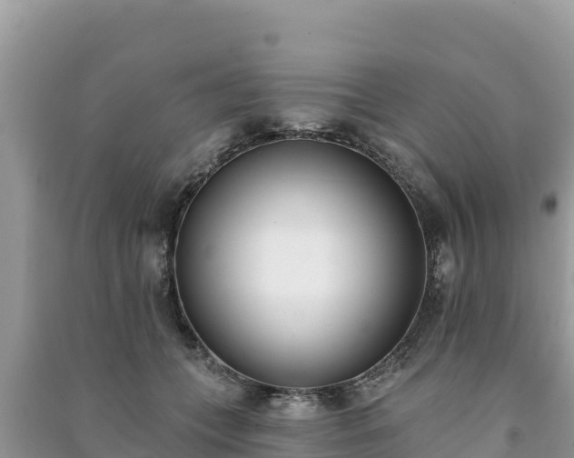 X0000091070559200708131155