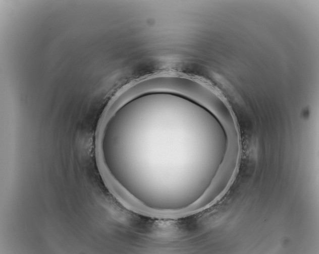 X0000091070560200708131155
