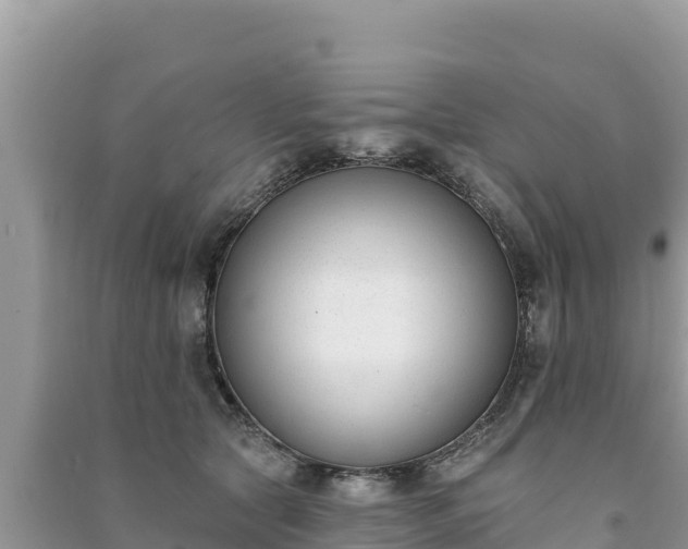 X0000091070561200708131155