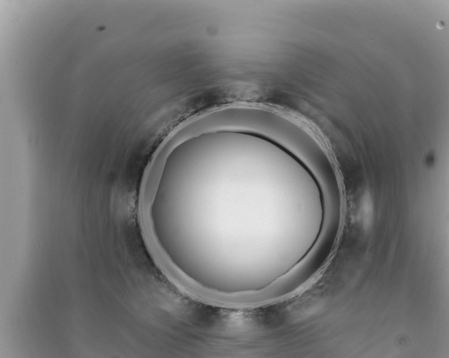 X0000091070564200708131155