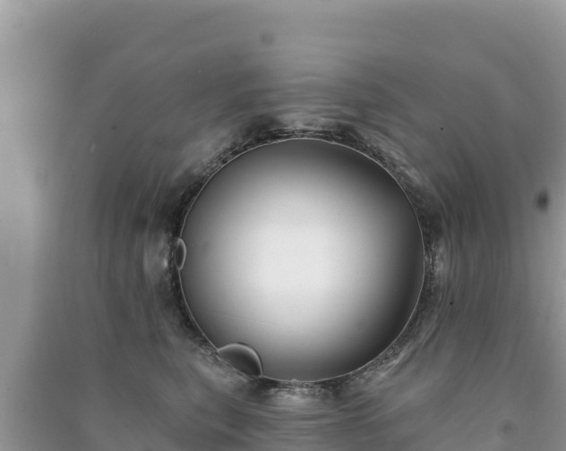 X0000091070567200708131155