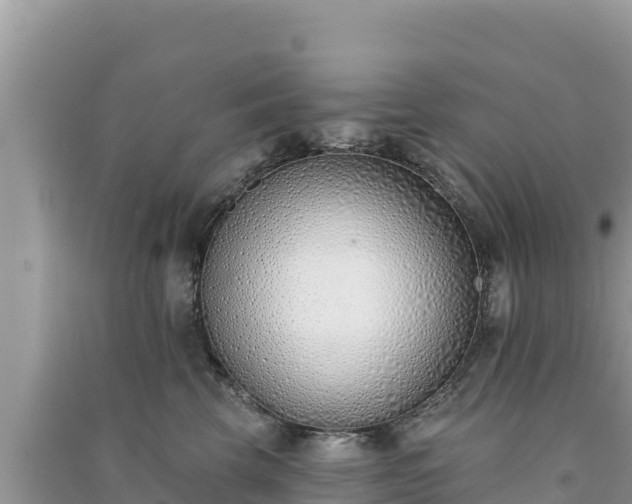 X0000091070569200708131155