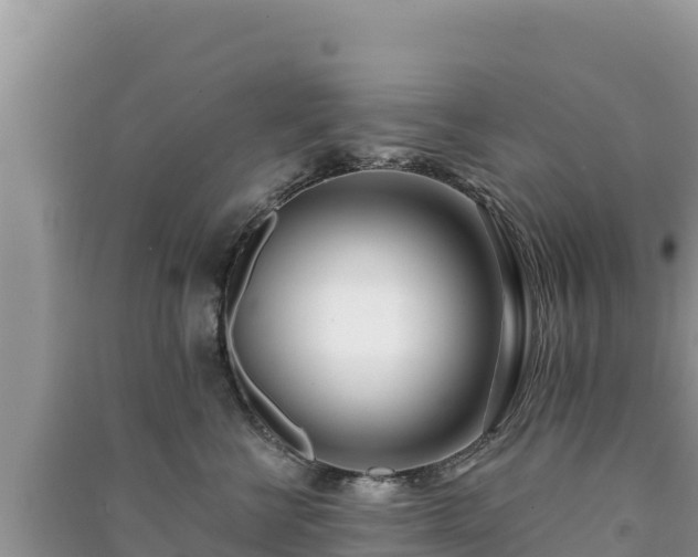 X0000091070570200708131155