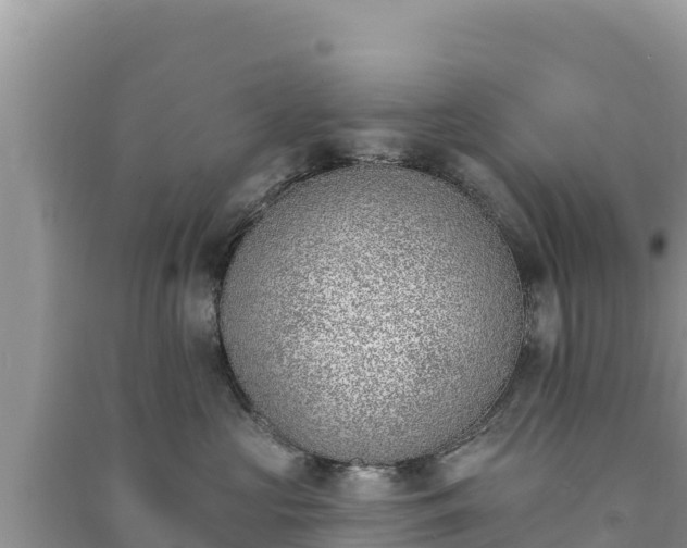 X0000091070573200708131155