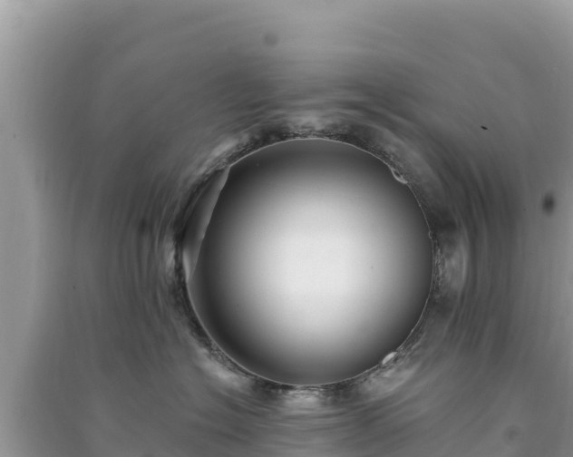 X0000091070574200708131155