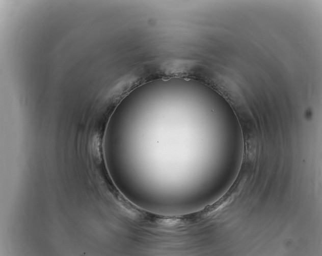 X0000091070575200708131155