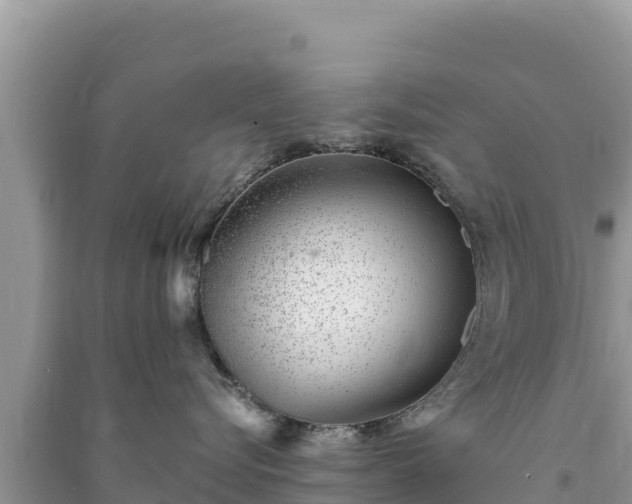 X0000091070576200708131155