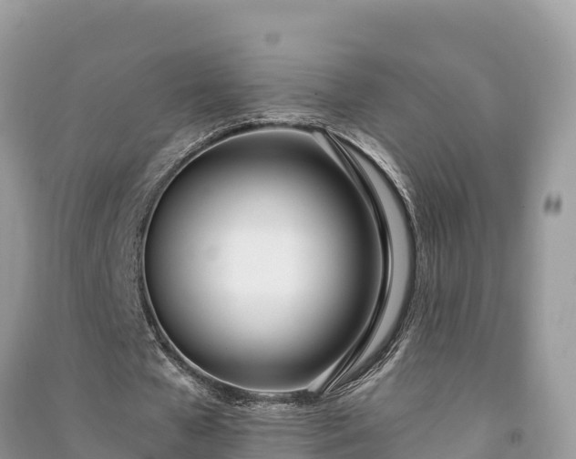 X0000091070577200708131155