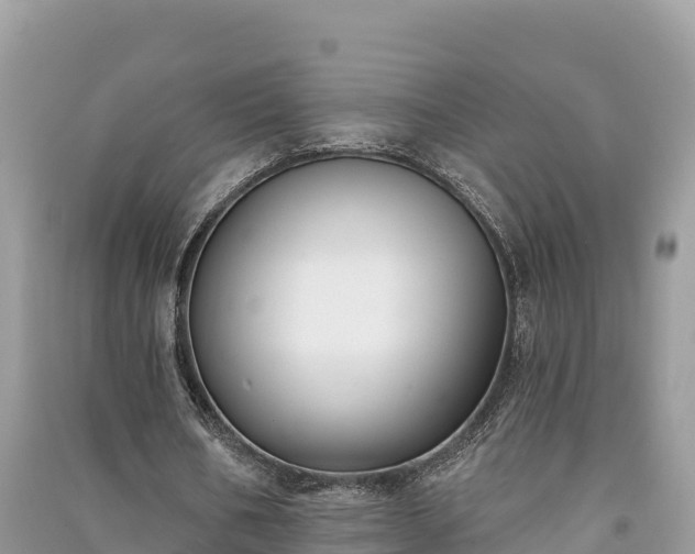 X0000091070578200708131155