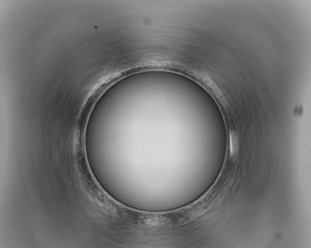 X0000091070579200708131155