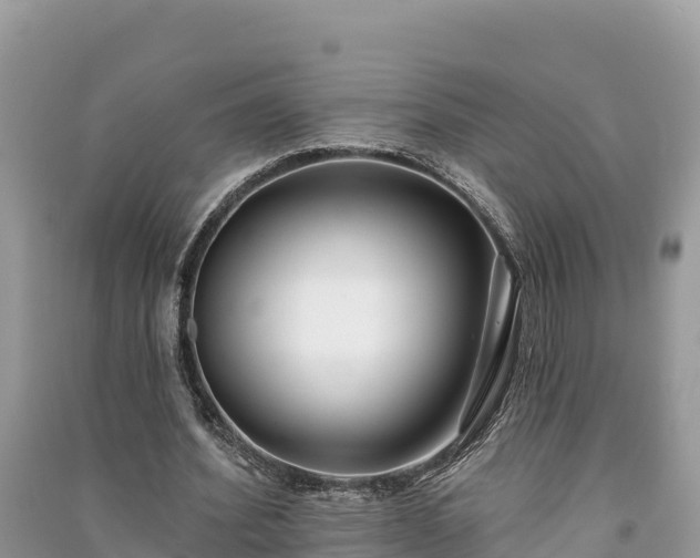 X0000091070580200708131155