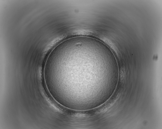 X0000091070581200708131155